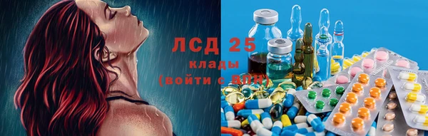 ГАЛЛЮЦИНОГЕННЫЕ ГРИБЫ Абаза