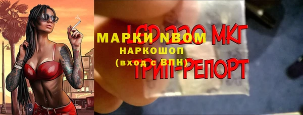 ГАЛЛЮЦИНОГЕННЫЕ ГРИБЫ Абаза