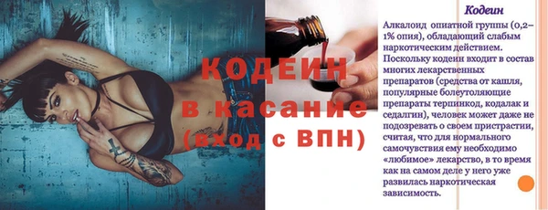 ГАЛЛЮЦИНОГЕННЫЕ ГРИБЫ Абаза