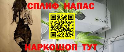 метадон Гатчина