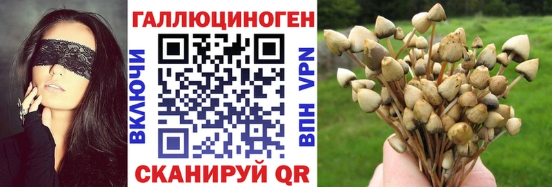 Псилоцибиновые грибы MAGIC MUSHROOMS  mega зеркало  Каменск-Шахтинский 