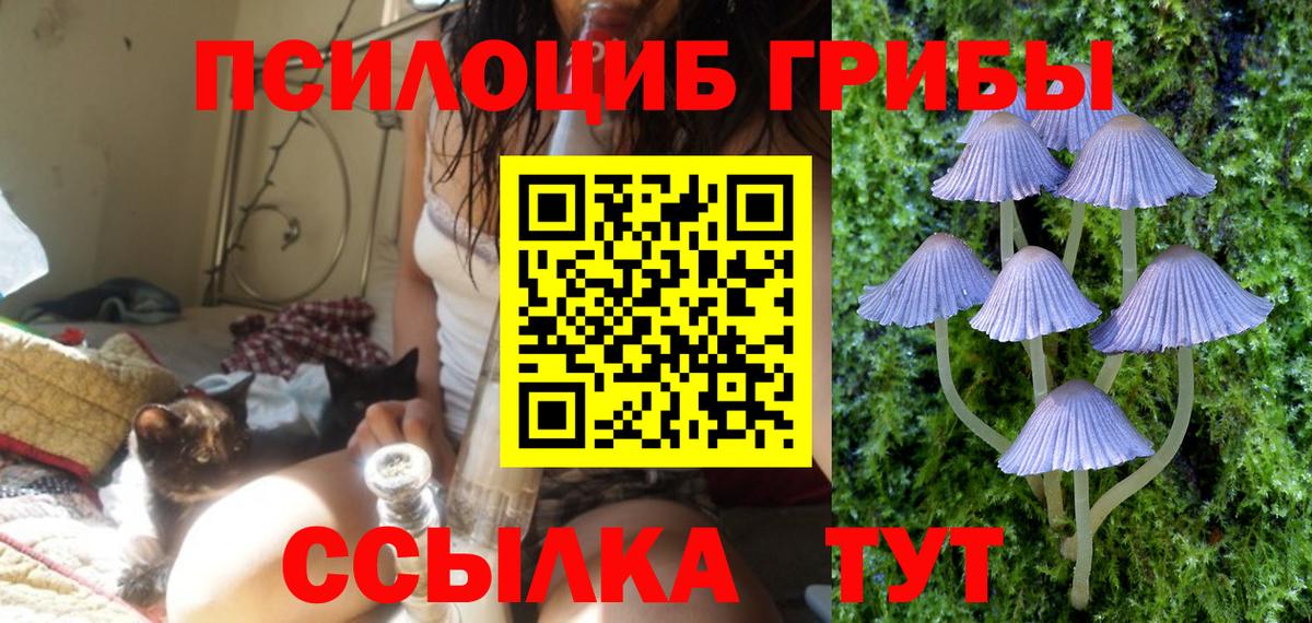 Каменск-Шахтинский  Псилоцибиновые грибы GOLDEN TEACHER  Псилоцибиновые грибы GOLDEN TEACHER  Вход с VPN 